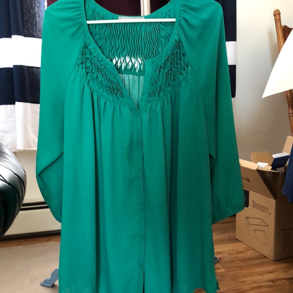 Daniel Rainn Rosmunda Smocking Detail Blouse Size 2x